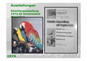 Seite030_aus_20030930_40_Jahre_Ornithologischer_Verein_Mauren