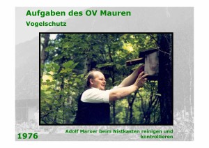 Seite034_aus_20030930_40_Jahre_Ornithologischer_Verein_Mauren