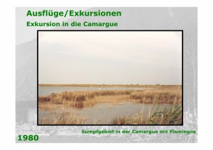 Seite060_aus_20030930_41_Jahre_Ornithologischer_Verein_Mauren