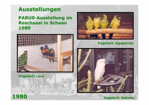 Seite063_aus_20030930_41_Jahre_Ornithologischer_Verein_Mauren