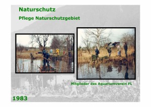 Seite093_aus_20030930_41_Jahre_Ornithologischer_Verein_Mauren