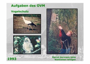 Seite142_aus_20030930_41_Jahre_Ornithologischer_Verein_Mauren    