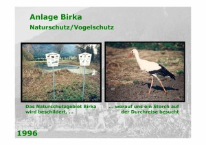 Seite155_aus_20030930_41_Jahre_Ornithologischer_Verein_Mauren     