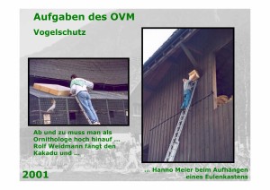 Seite164_aus_20030930_41_Jahre_Ornithologischer_Verein_Mauren     