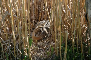 OV_Vogelpark_0628_kl       