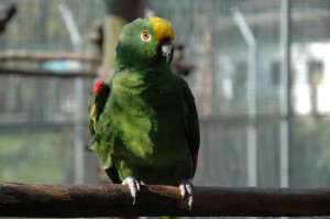 OV_Vogelpark_6305_kl        