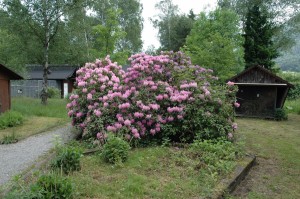 OV_Vogelpark_2009_7207      