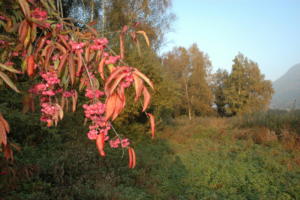 Birka_Naturschutz_046